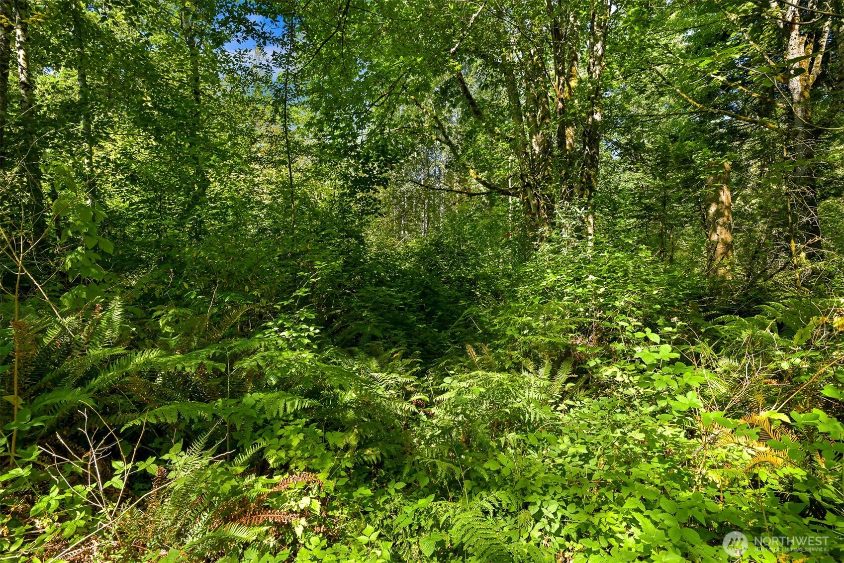 Property photo 27