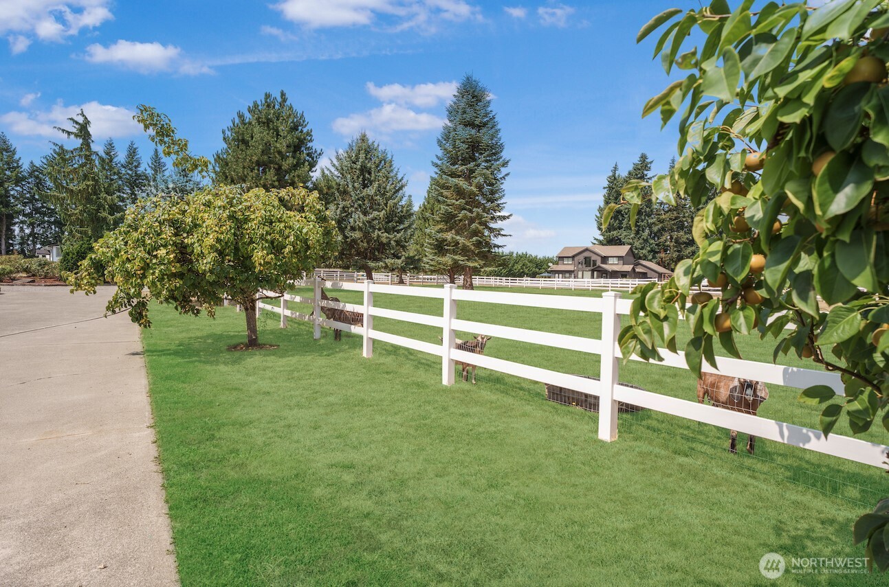 Property photo 39