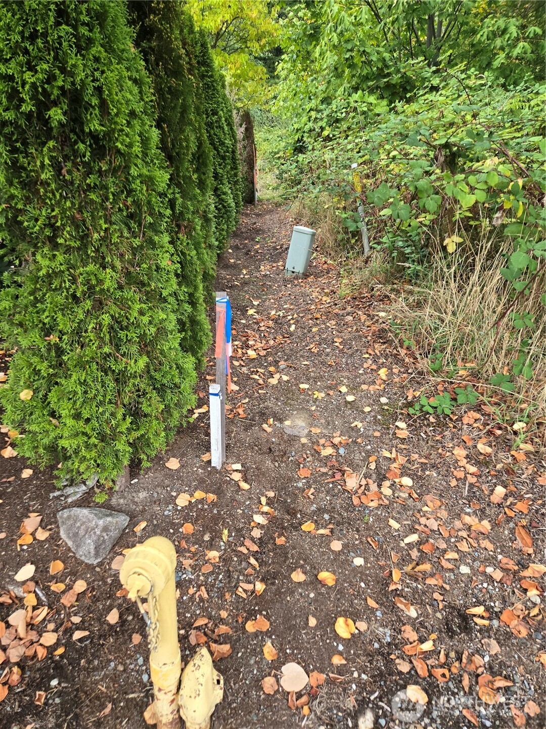 Property photo 32