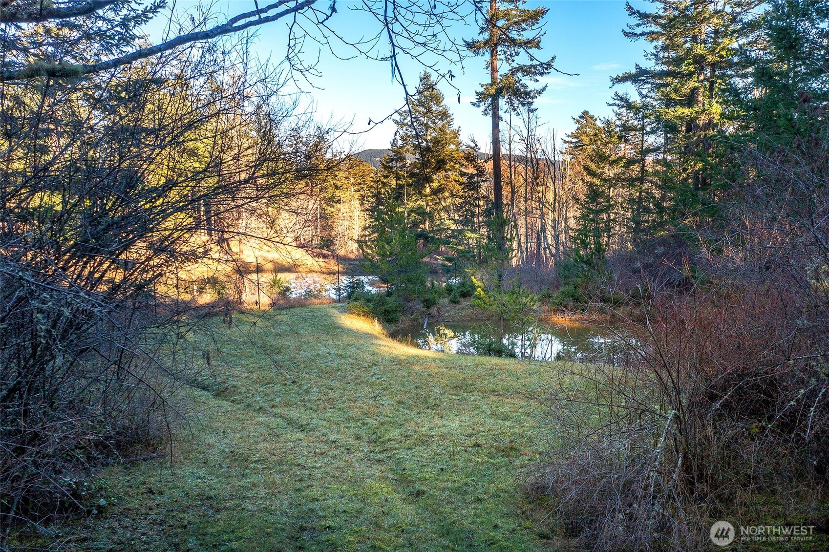 Property photo 37