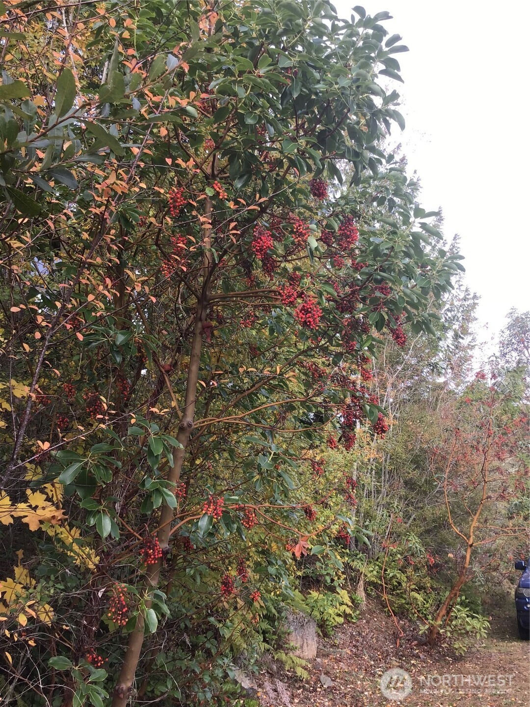 Property photo 22