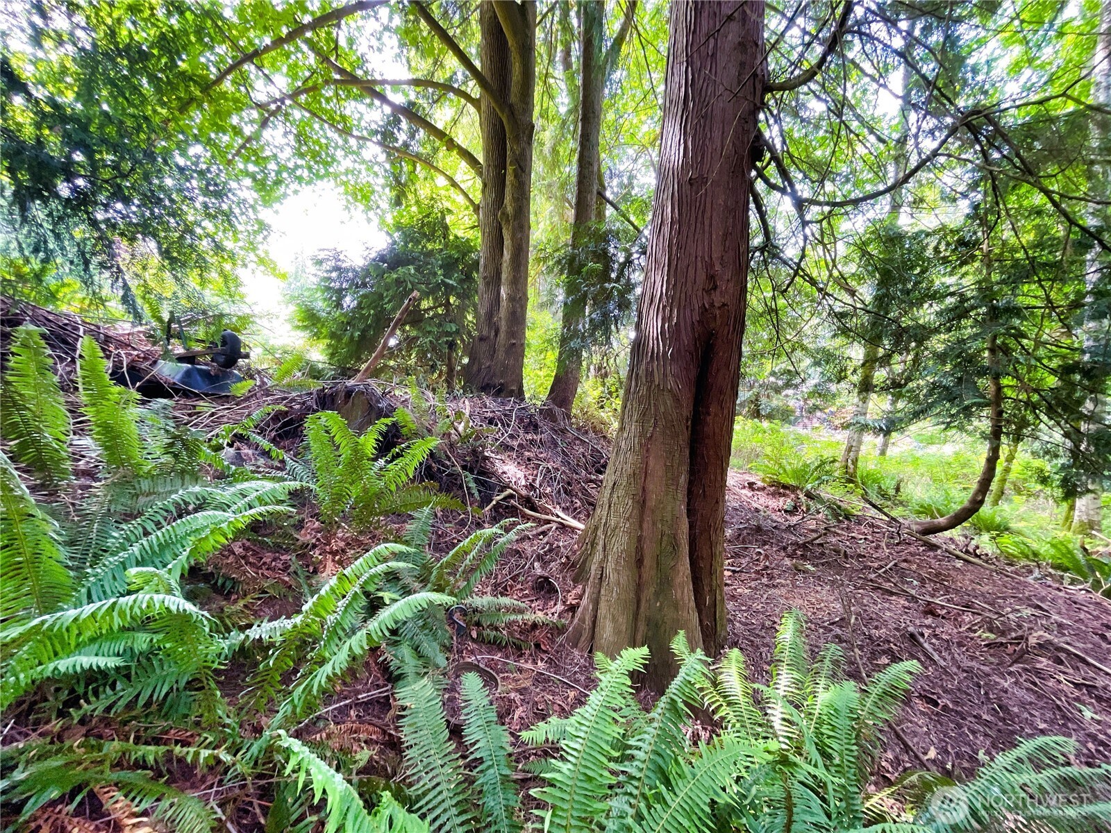 Property photo 30