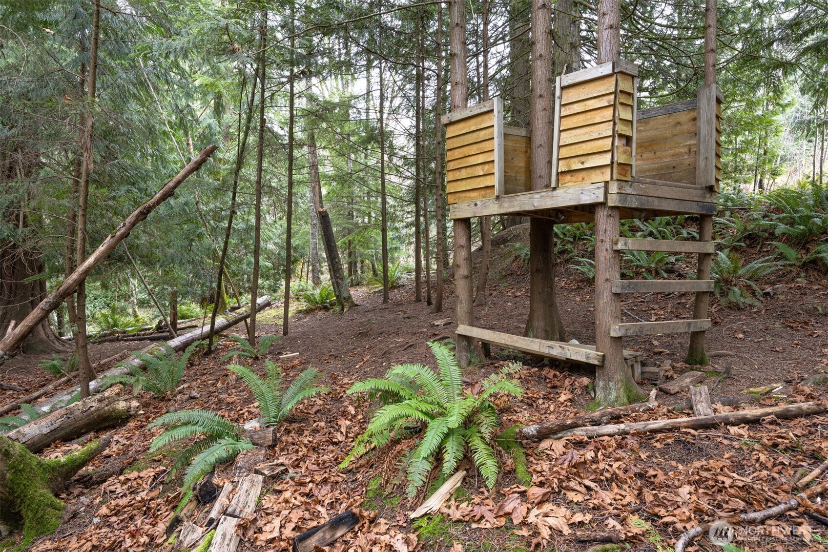 Property photo 32