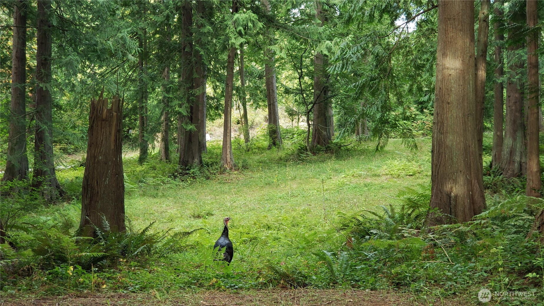 Property photo 33