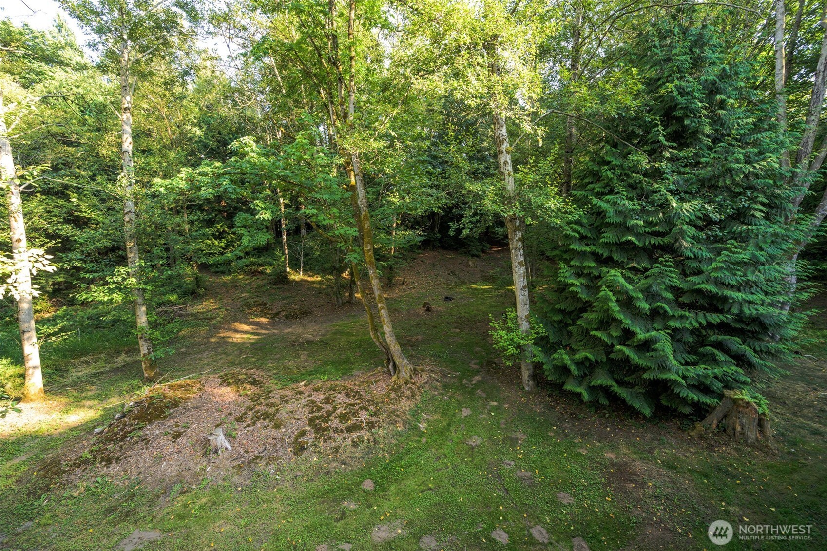 Property photo 36