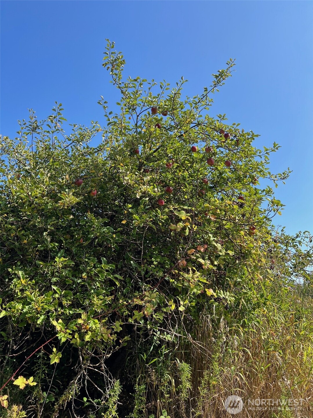 Property photo 32