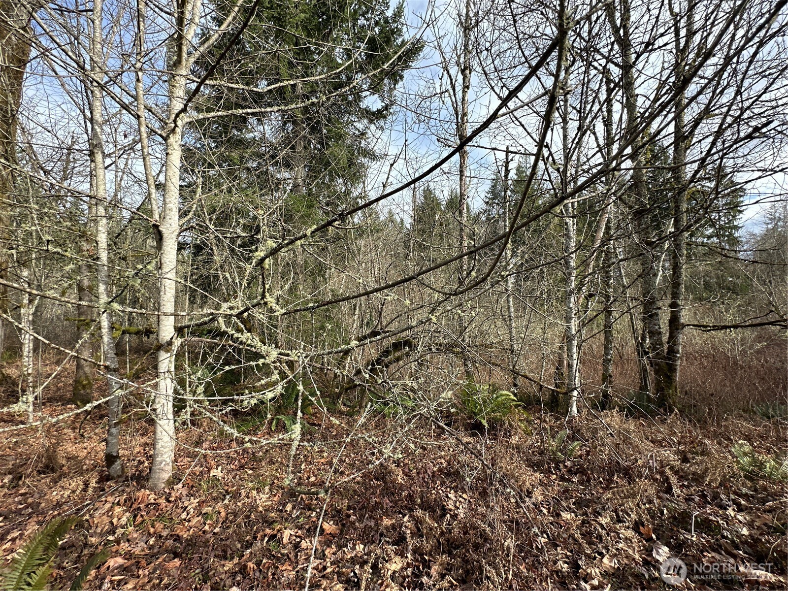Property photo 24