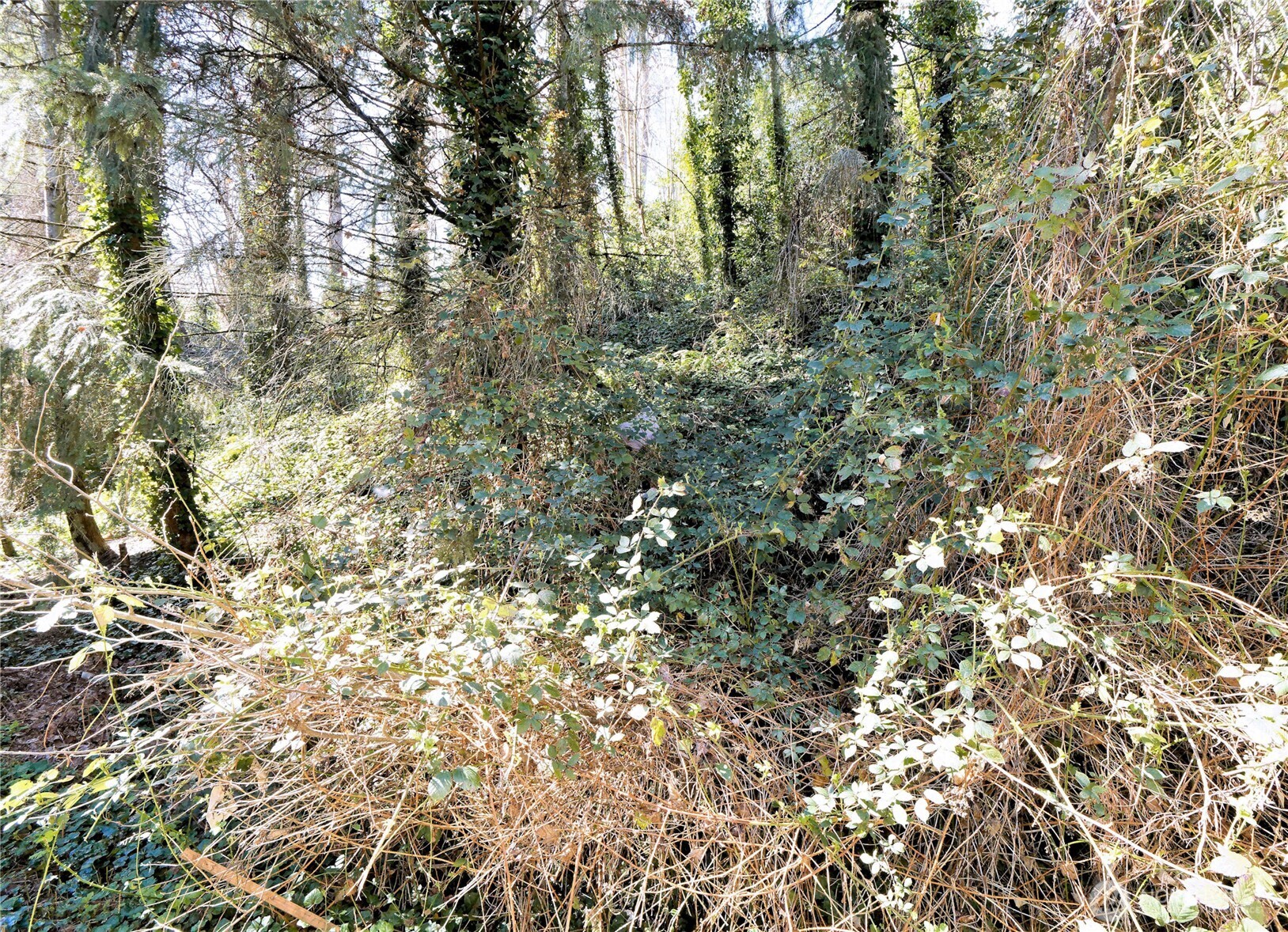 Property photo 18