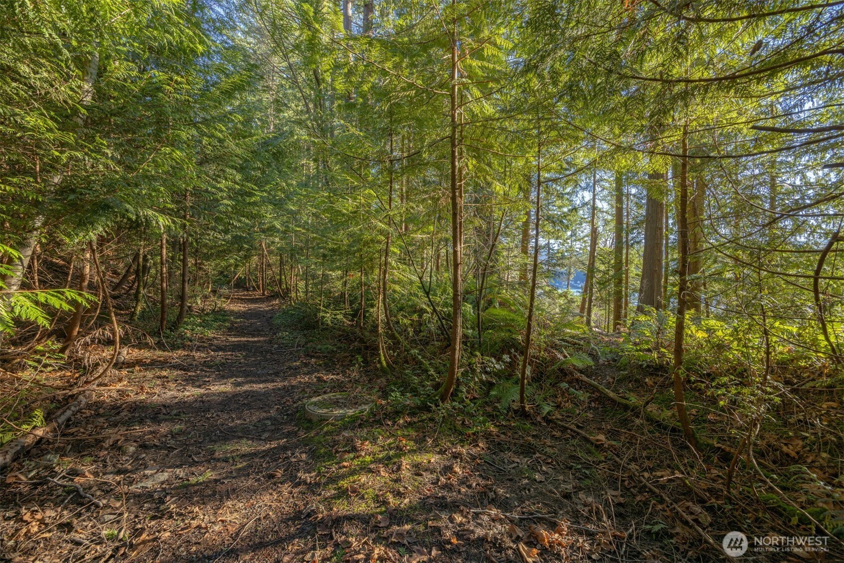 Property photo 31