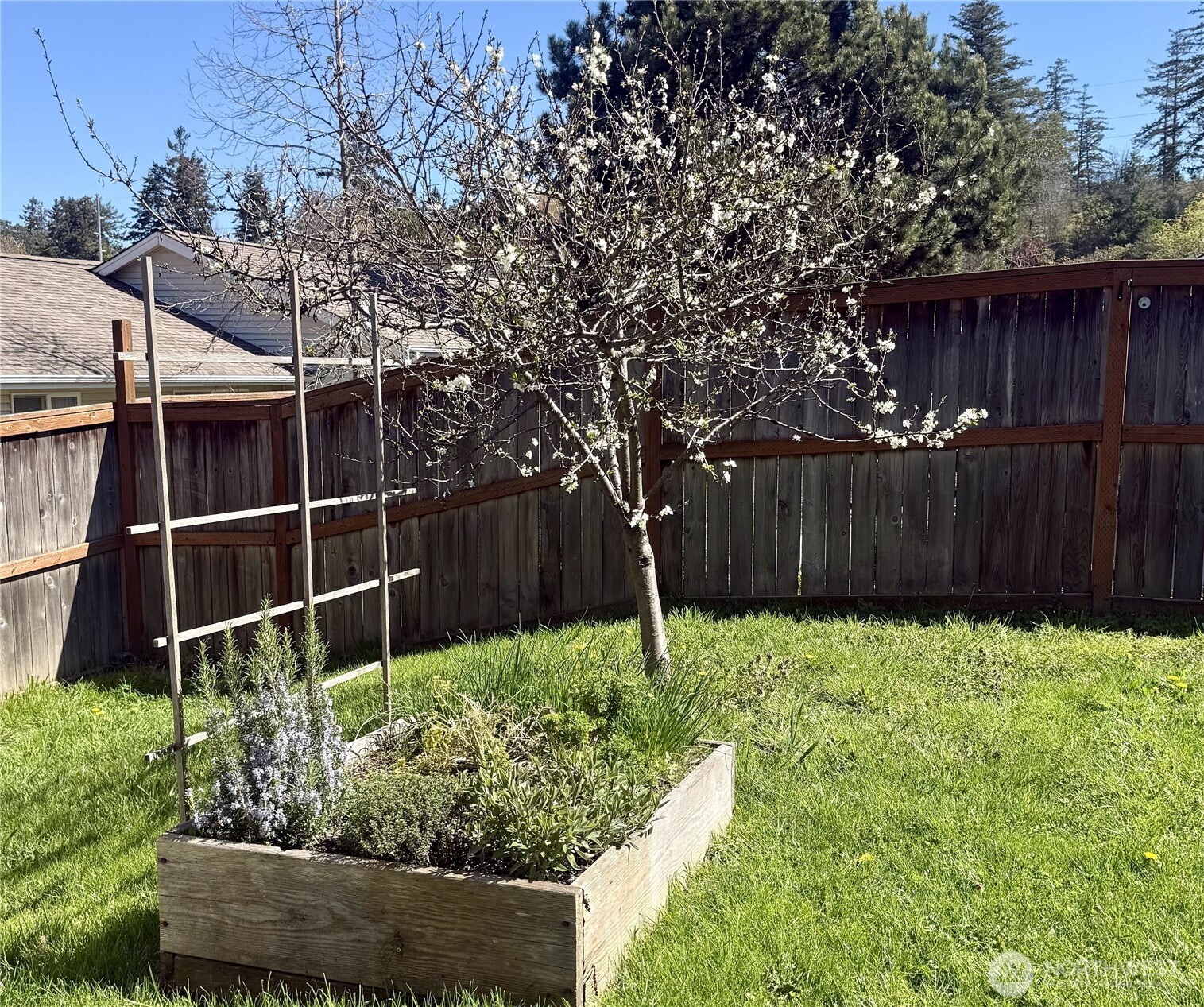 Property photo 21