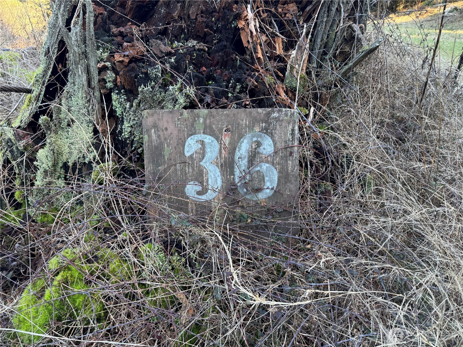 Property photo 32