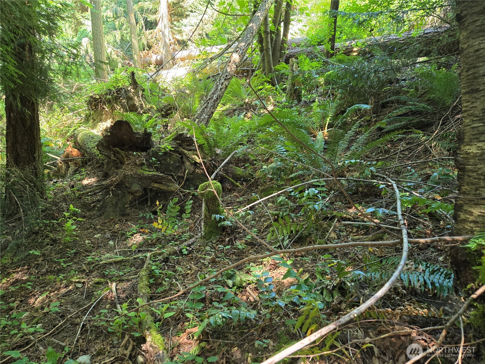 Property photo 20