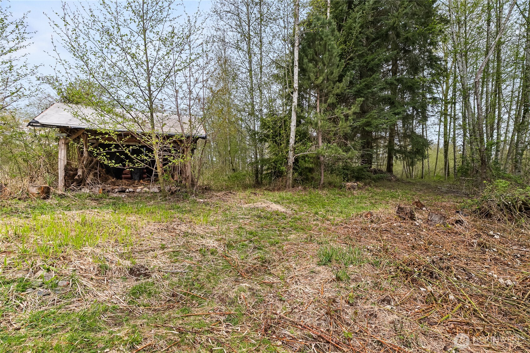Property photo 23