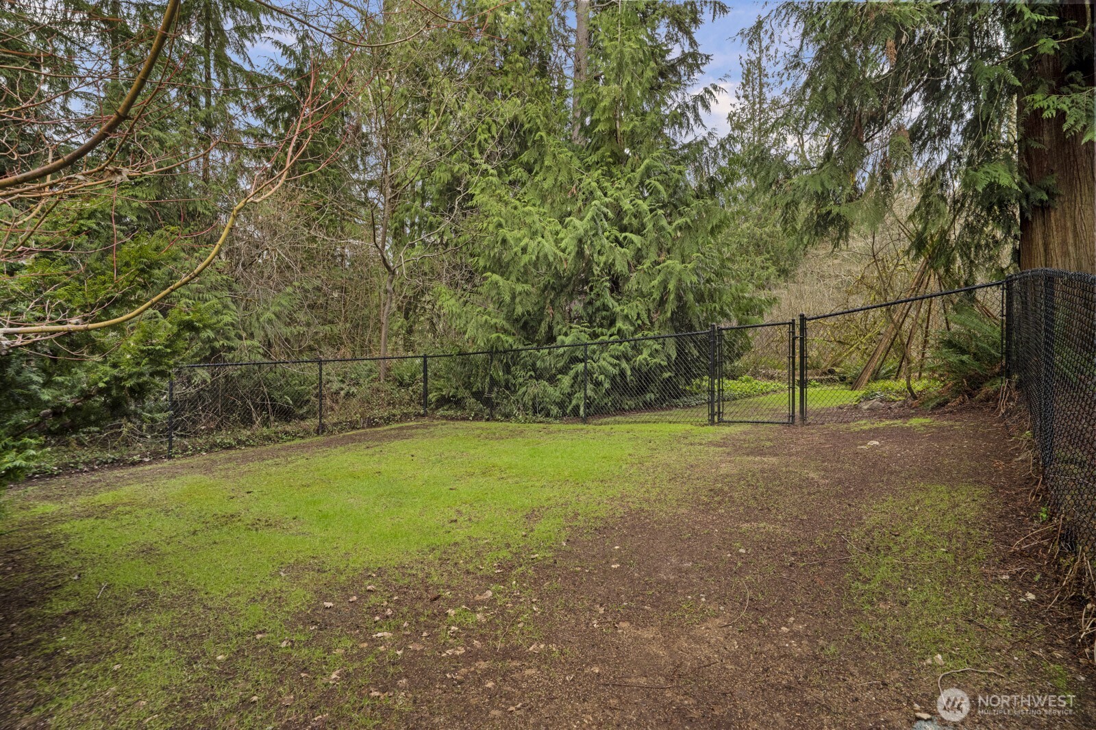 Property photo 37